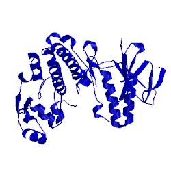 Image of CATH 5n63