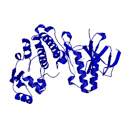 Image of CATH 5n66