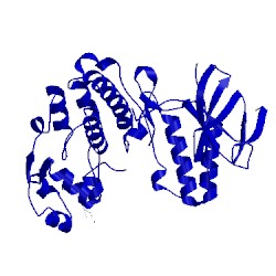 Image of CATH 5n67