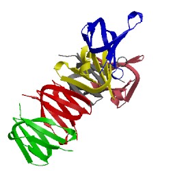 Image of CATH 5n76