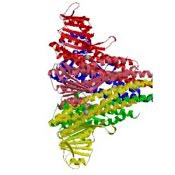 Image of CATH 5n77