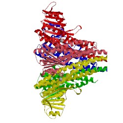Image of CATH 5n78