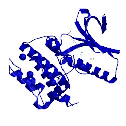 Image of CATH 5n84