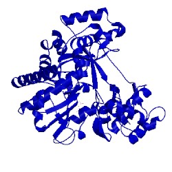 Image of CATH 5n95