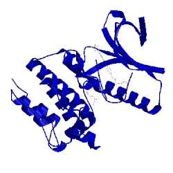 Image of CATH 5n9s
