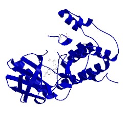 Image of CATH 5nad