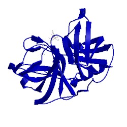 Image of CATH 5naw