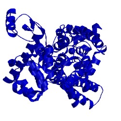 Image of CATH 5ndd
