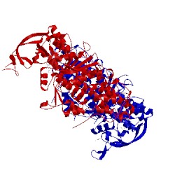 Image of CATH 5nfh