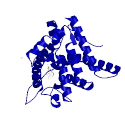 Image of CATH 5nft