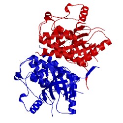 Image of CATH 5ng2