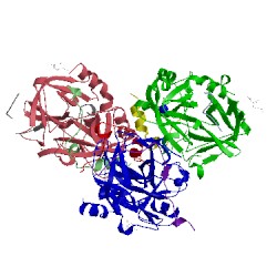 Image of CATH 5nhu