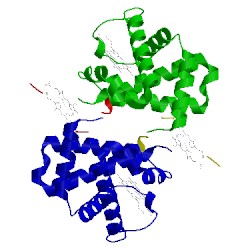 Image of CATH 5ni1