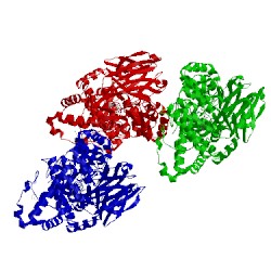 Image of CATH 5ni4