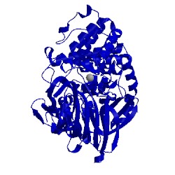 Image of CATH 5nid