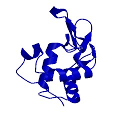 Image of CATH 5njm