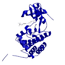 Image of CATH 5nk0