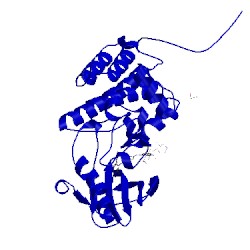 Image of CATH 5nk4