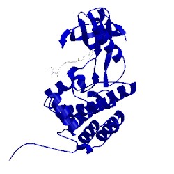 Image of CATH 5nk8