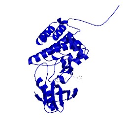 Image of CATH 5nk9