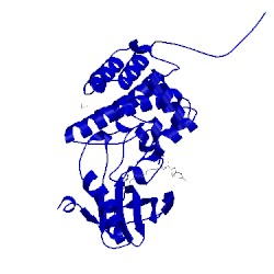 Image of CATH 5nkd