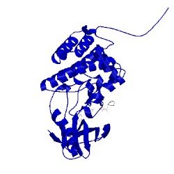 Image of CATH 5nkf