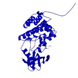 Image of CATH 5nkg