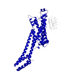 Image of CATH 5nlx