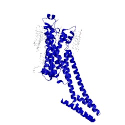 Image of CATH 5nm2