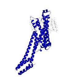 Image of CATH 5nm4