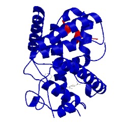 Image of CATH 5nma