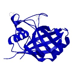 Image of CATH 5not