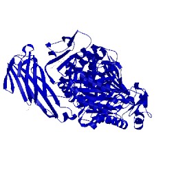 Image of CATH 5npe