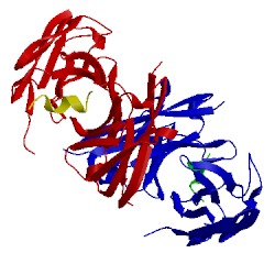 Image of CATH 5npi