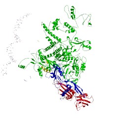 Image of CATH 5nsr