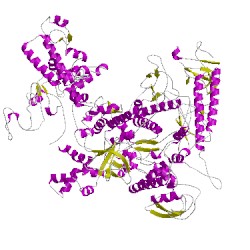 Image of CATH 5nsrD