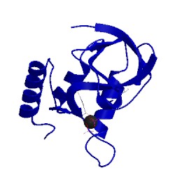 Image of CATH 5nuc