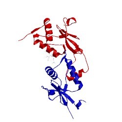Image of CATH 5nui