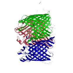 Image of CATH 5nuo
