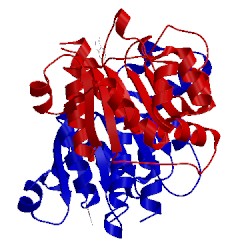 Image of CATH 5nzp