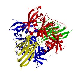 Image of CATH 5o03