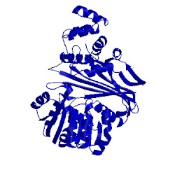 Image of CATH 5o1n