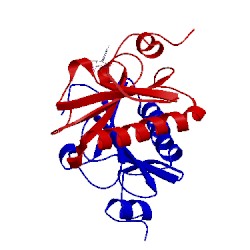 Image of CATH 5o8i