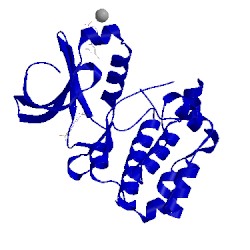 Image of CATH 5obr