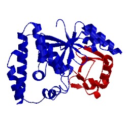 Image of CATH 5oe7