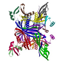 Image of CATH 5ohl