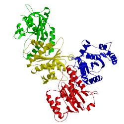 Image of CATH 5ol8