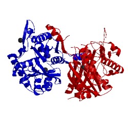 Image of CATH 5onc