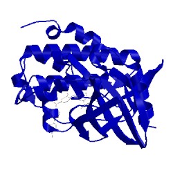 Image of CATH 5oot