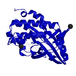 Image of CATH 5op2